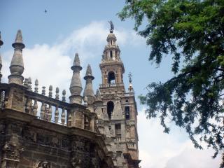 DSC02241_.jpg