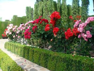 DSC02172_.jpg