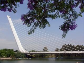 DSC02214_.jpg
