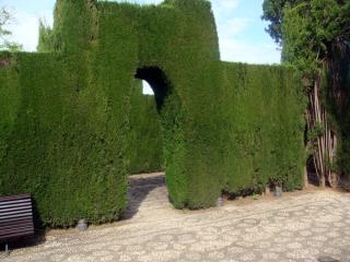 DSC02175_.jpg