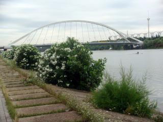 DSC02196_.jpg
