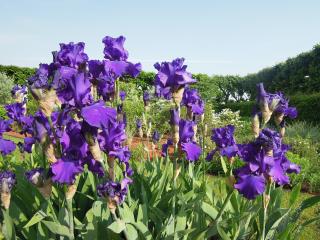 DSCN1838.jpg