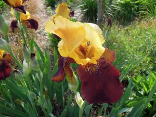 DSCN1827.jpg