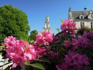 DSCN2239.jpg