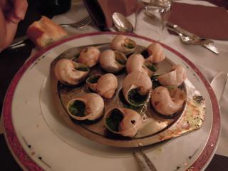 DSCN1242.jpg