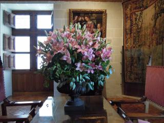 DSCN2061.jpg