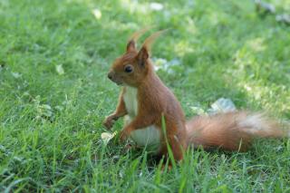 DSC06315.JPG