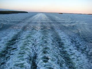 IMG_2716.JPG