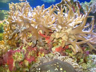 IMG_2928.JPG