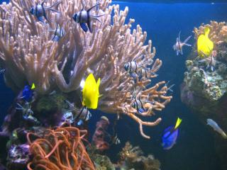 IMG_2926.JPG