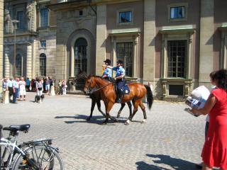IMG_3235.JPG