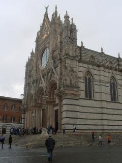 y_6d6f185d.jpg