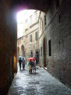 y_9d595744.jpg