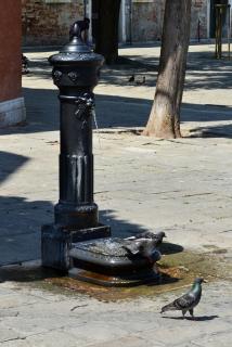 y_8c6034e8.jpg