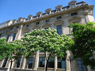 DSC00248.JPG