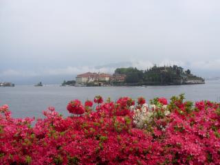 SN853593.JPG