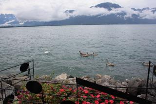IMG_5795.JPG