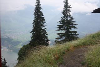 IMG_6269.JPG