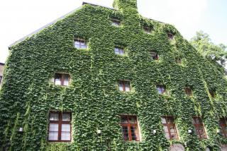 IMG_6354.JPG
