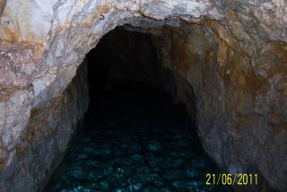 100_5598.JPG