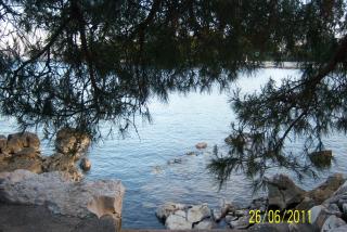 100_6106.JPG