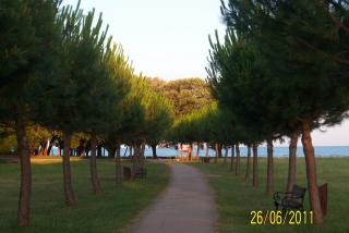 100_6104.JPG