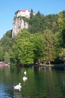 100_6320.JPG