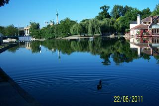 100_5711.JPG