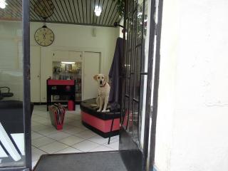 DSCN2640.jpg