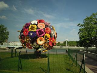 DSCN3846.jpg