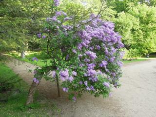 DSCN5313.jpg
