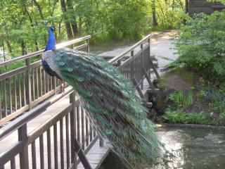 DSCN5362.jpg