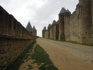 DSCN2895.jpg