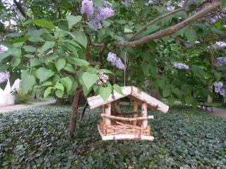 DSCN5370.jpg