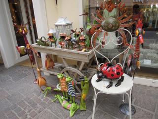 DSCN5094.jpg