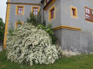DSCN5293.jpg