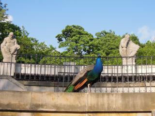 DSCN5350.jpg