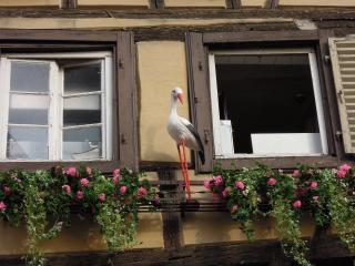 DSCN4469.jpg