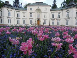 DSCN5377.jpg