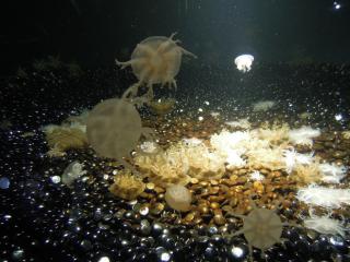 DSCN2361.jpg