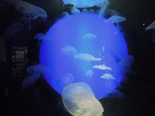 DSCN2363.jpg