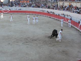 P7113250.JPG