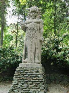 CIMG8396.JPG