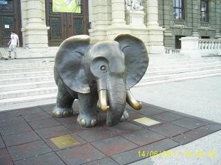 PIC_0132.JPG