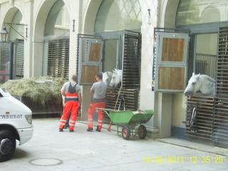 PIC_0079.JPG