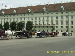 PIC_0066.JPG