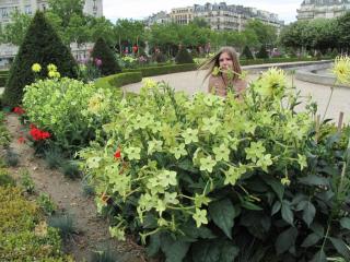IMG_4509.JPG