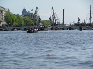 IMG_4441.JPG