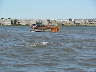 IMG_4403.JPG