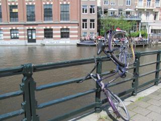 IMG_4352.JPG